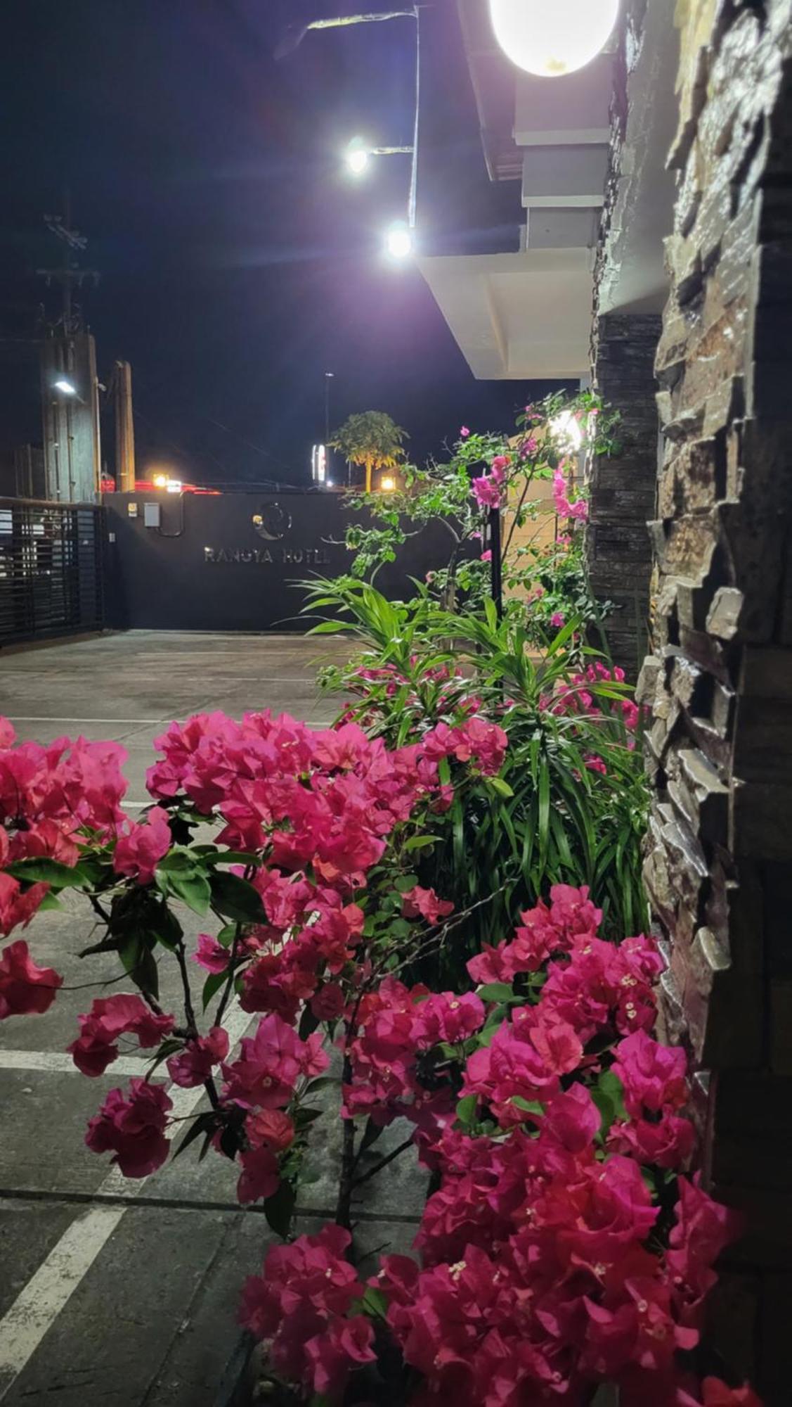 奢华酒店 大雅台 外观 照片