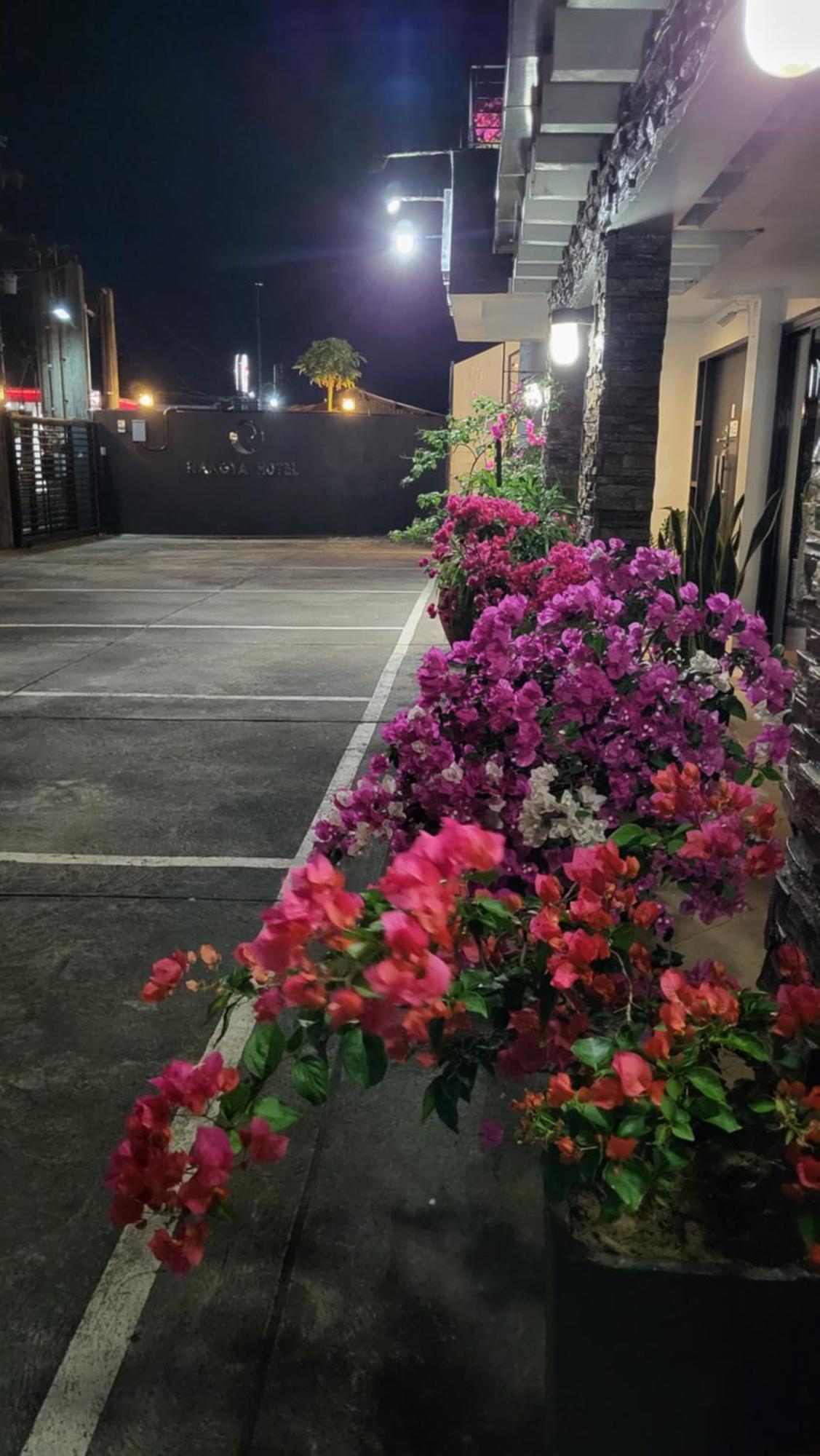 奢华酒店 大雅台 外观 照片